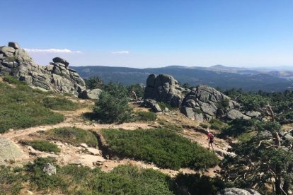 Zona rocosa de las Navas del Toril en la Sierra de Guadarrama.