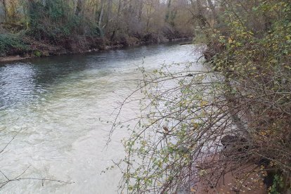 Río Duero turbio con vertidos túnel de la depuradora, según la asociación.-ASDEN