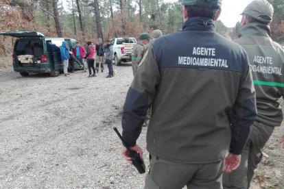 Los agentes denunciaron a las siete personas que había cogido los níscalos al carecer de permiso de recolección.-HDS