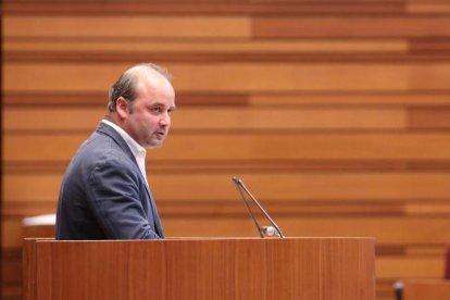 David Castaño, portavoz de Ciudadanos en las Cortes de Castilla y León. HDS