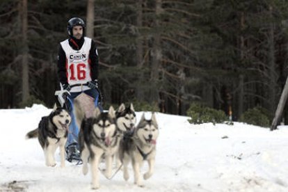 Un musher durante una prueba celebrada en Pinares. / VALENTÍN GUISANDE-