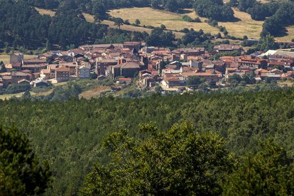 Vista de Covaleda.-MARIO TEJEDOR