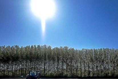 Un agricultor realizando sus labores con el tractor en un campo de cultivo en Salamanca.-ENRIQUE CARRASCAL