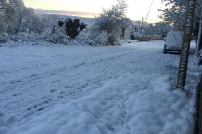 Las fotos de la Nieve en Soria. HDS