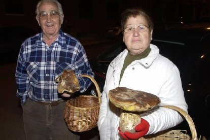 Dos recolectores portan dos grandes ejemplares de boletus maduros en una imagen de archivo. / REPORTAJE GRÁFICO: VALENTÍN GUISANDE-