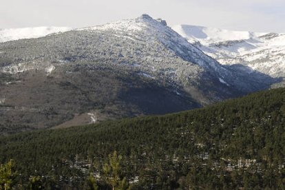 Panorámica del Monte Modelo de Urbión. / VALENTÍN GUISANDE-