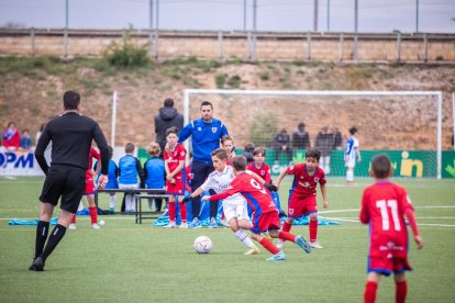 El mejor fútbol de cantera este domingo en la Ciudad Deportiva con el II Torneo Elige Soria. G. M.