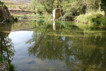 Pozo de la Peña del Río Abión, donde se produjo el suceso. HDS