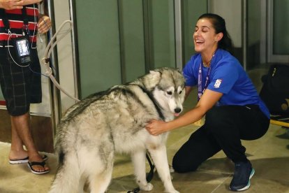 Carolina Marín acaricia a uno de sus dos perros, a la llegada a Barajas. /-J.P.GANDUL (EFE)