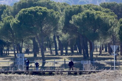 Agentes en la zona en la que se encontró el cuerpo de Esther López. LETICIA PÉREZ-ICAL