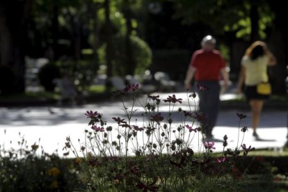 El polen de las gramíneas comienza a extenderse ahora y las mascarillas ayudarán a combatirlo. L.Á. TEJEDOR