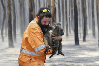 El fuego arrasa el continente australiano.-