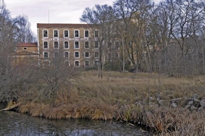 Antigua fábrica de harinas junto al Duero.-Mario Tejedor
