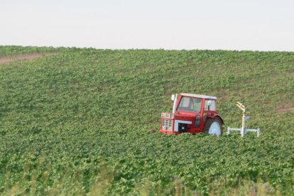 Un tractor en un campo de cultivo soriano.-ÁLVARO MARTÍNEZ