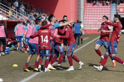 Los jugadores del Numancia celebran uno de los goles de la remontada ante el Nástic. GONZALO MONTESEGURO