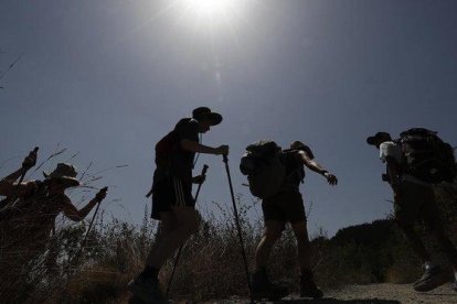 Un grupo de peregrinos, durante una etapa del Camino de Santiago, en agosto del 2018.-JESÚS DIGES (EFE)