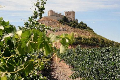 Museo Provincial del vino (Peñafiel, Valladolid) --