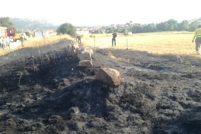 Detalle de la superficie quemada en el incendio en Golmayo el la tarde del jueves. HDS