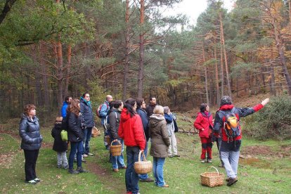 Visita guiada al pinar visontino en este puente. / GAIA EDUCADORES MEDIOAMBIENTALES-