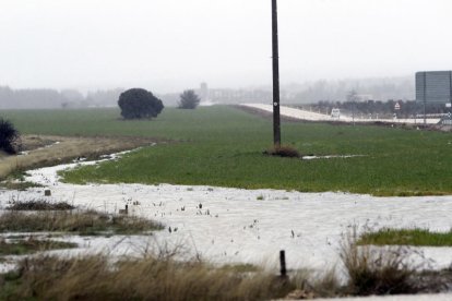 Efectos de las inundaciones en el campo-Luis Ángel Tejedor