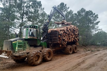 Recogida de madera.-HDS