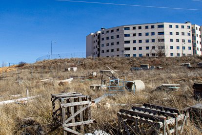 Zona de Los Royales donde se ubicará el Centro de Acogida de Refugiados - MARIO TEJEDOR