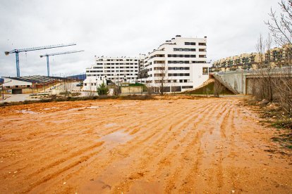 Terrenos del CPD. MARIO TEJEDOR