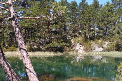 Laguna Verde.-HDS