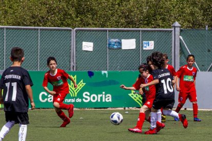 I Torneo Elige Soria de fútbol 7 Benjamín - MARIO TEJEDOR (5)