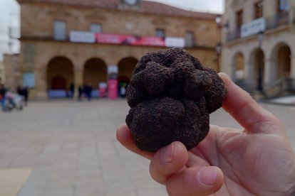 Trufa negra en la plaza Mayor de Soria. HDS