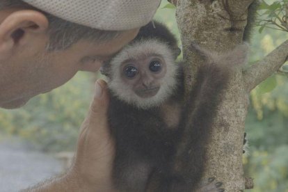 Frank Cuesta, en uno de los programas de 'Wild Frank, al rescate', su nueva serie en el canal DMax.-