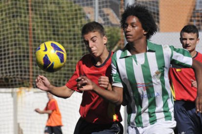 Unos 500 jugadores participaron en el torneo cuyas finales se disputaron ayer. / DIEGO MAYOR-