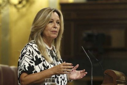 La diputada del Grupo Socialista Trinidad Jiménez durante su intervención en el pleno del Congreso el pasado lunes.-EFE / ALBERTO MARTÍN