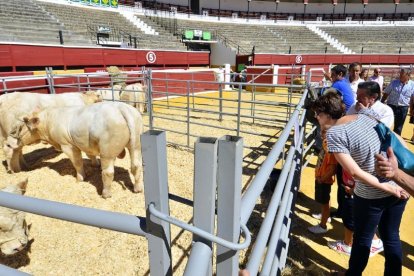 La Feria Ganadera se celebra en la plaza de toros de Soria cada mes de septiembre.-ÁLVARO MARTÍNEZ