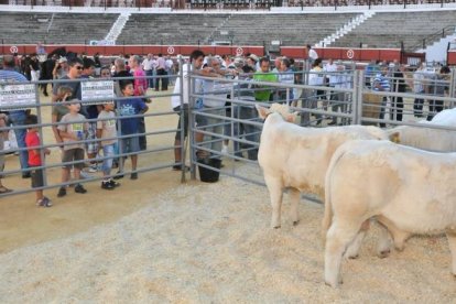 La feria se celebra en la plaza de Toros. DIEGO MAYOR-