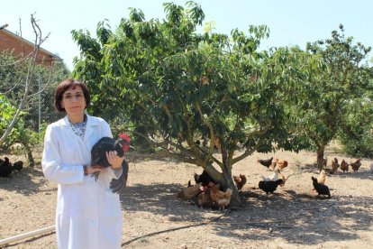 Pilar Gutiérrez, profesora de zootecnia y producción animal y encargada del gallinero ecólogico de la Escuela Universitaria de Ingienería Agrícola de Valladolid, INEA.-M.C.