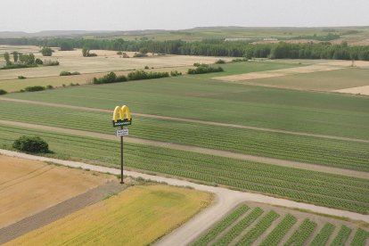 Campo de lechugas en Soria con la publidad de McDonald's. ANA HERNANDO