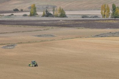 Explotación agraria de la provincia de Soria.-A. L.