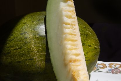 Imagen Melón