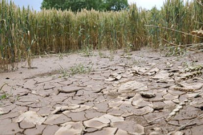 Tierra resquebrajada en un campo  tras la fuerte tormenta caída en Ágreda en la madrugada del jueves. / VALENTÍN GUISANDE-