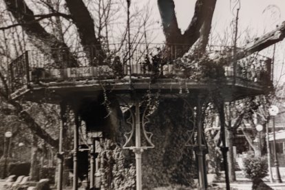 El Árbol de la Música, cuando todavía el olmo original lucía su gran porte en el corazón de la Dehesa de Soria. HDS