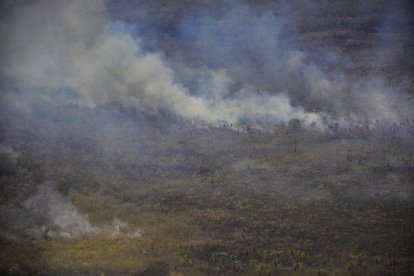 Los incendios forestales arrasan con miles de hectáreas de selva en Brasil.-EFE / SEN