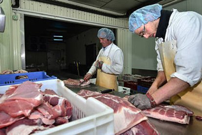 Trabajadores de una industria cárnica. / V. G. -