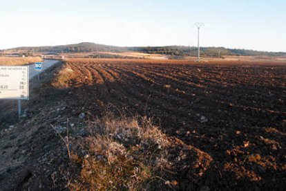 Vista general de la necrópolis arada. /JAVIER SOLÉ-