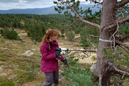 Una investigadora del proyecto Monostar tomando muestras en la Laguna Negra. HDS