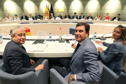 El consejero de Empleo, Carlos Fdez. Carriedo, participa en la LXV Conferencia Sectorial de Empleo y Asuntos Laborales.-ICAL