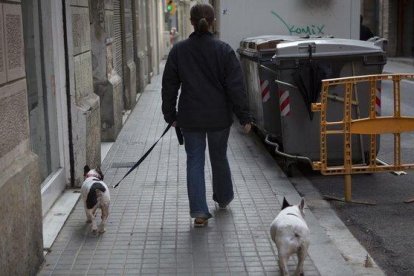 Un hombre pasea a dos perros por la calle.-