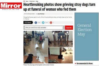 Numerosos perros callejeros despiden a Margarita Suárez en su funeral-Foto: MIRROR