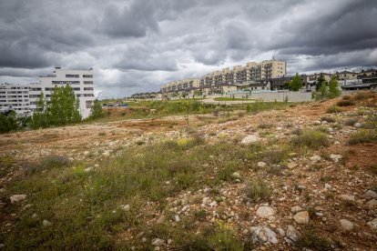 Terreno cedido por el Ayuntamiento para el Centro en la zona de expansión. MARIO TEJEDOR