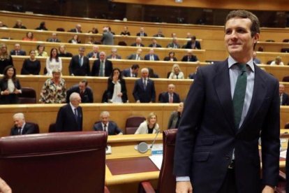 El presidente del Partido Popular, Pablo Casado, durante la reunion del Grupo Popular en el Senado.-BALLESTEROS (EFE)